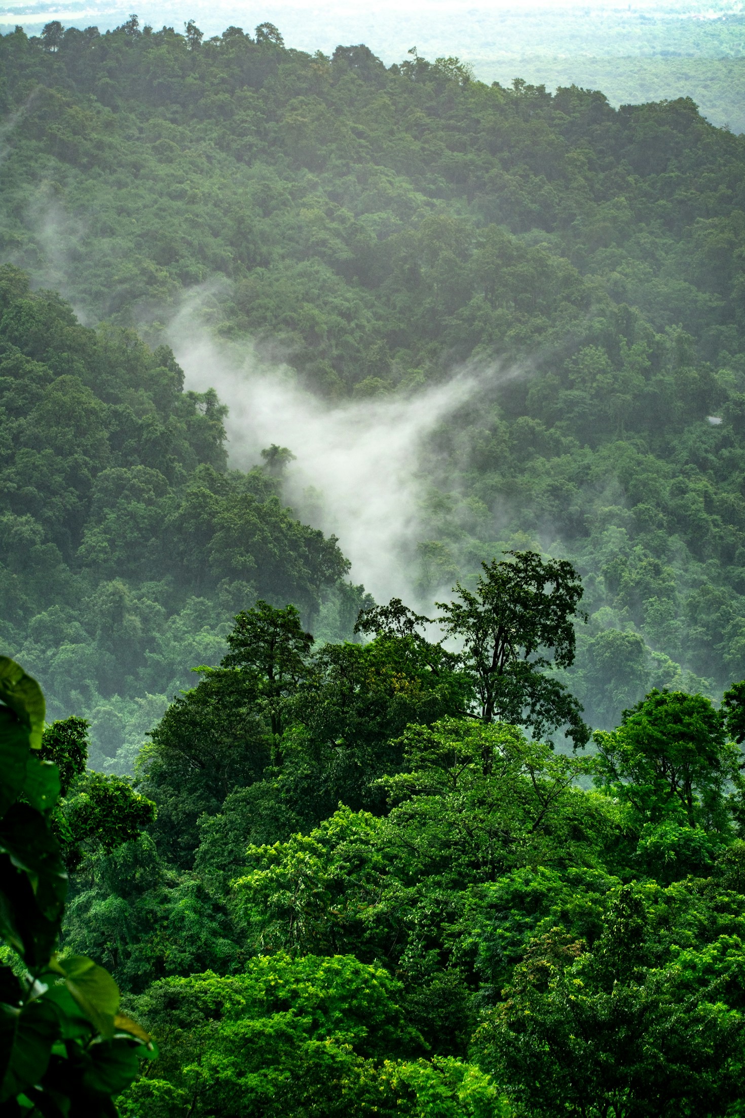 The Role of Renewable Energy in Conservation