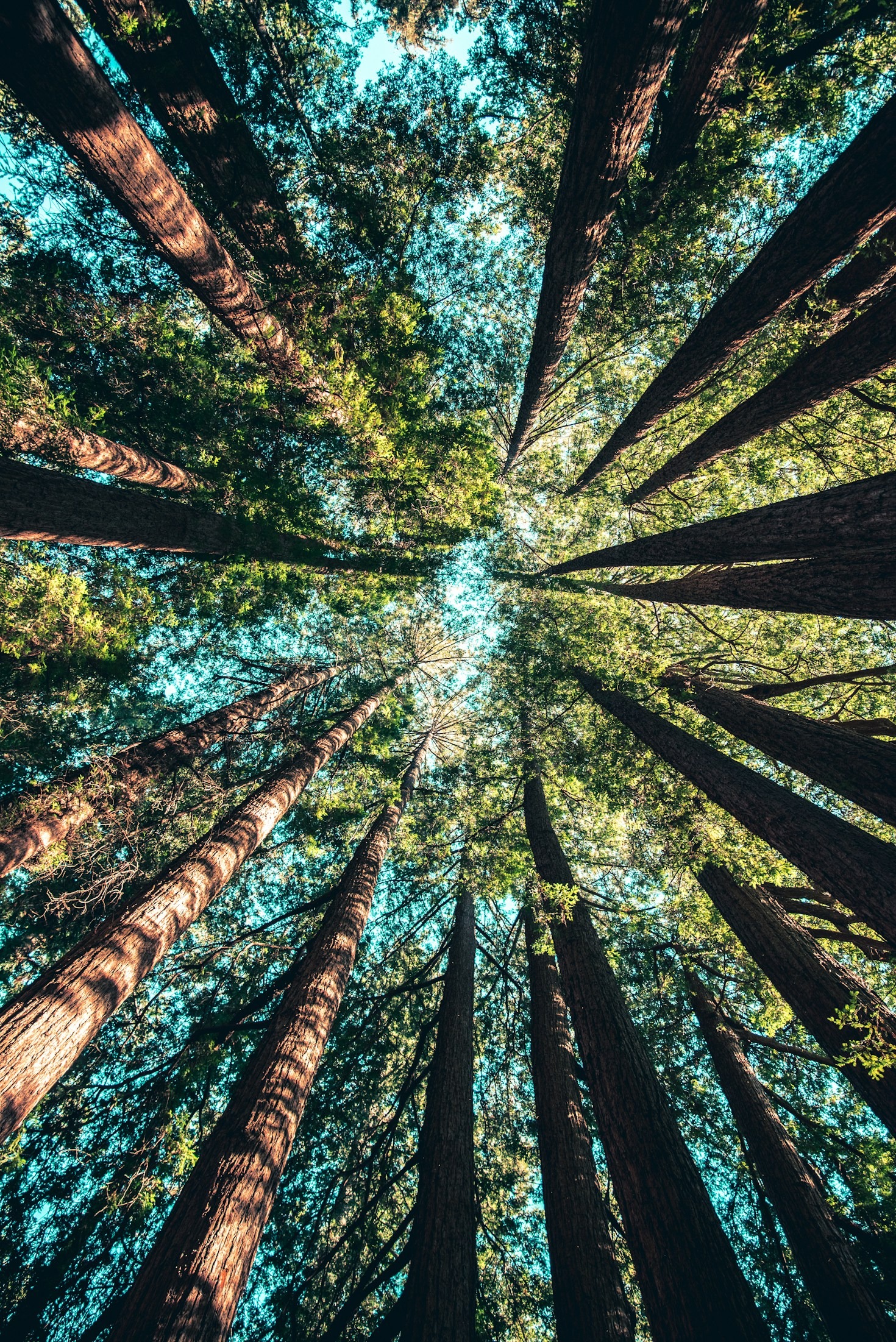 Water Management Solutions for a Sustainable World