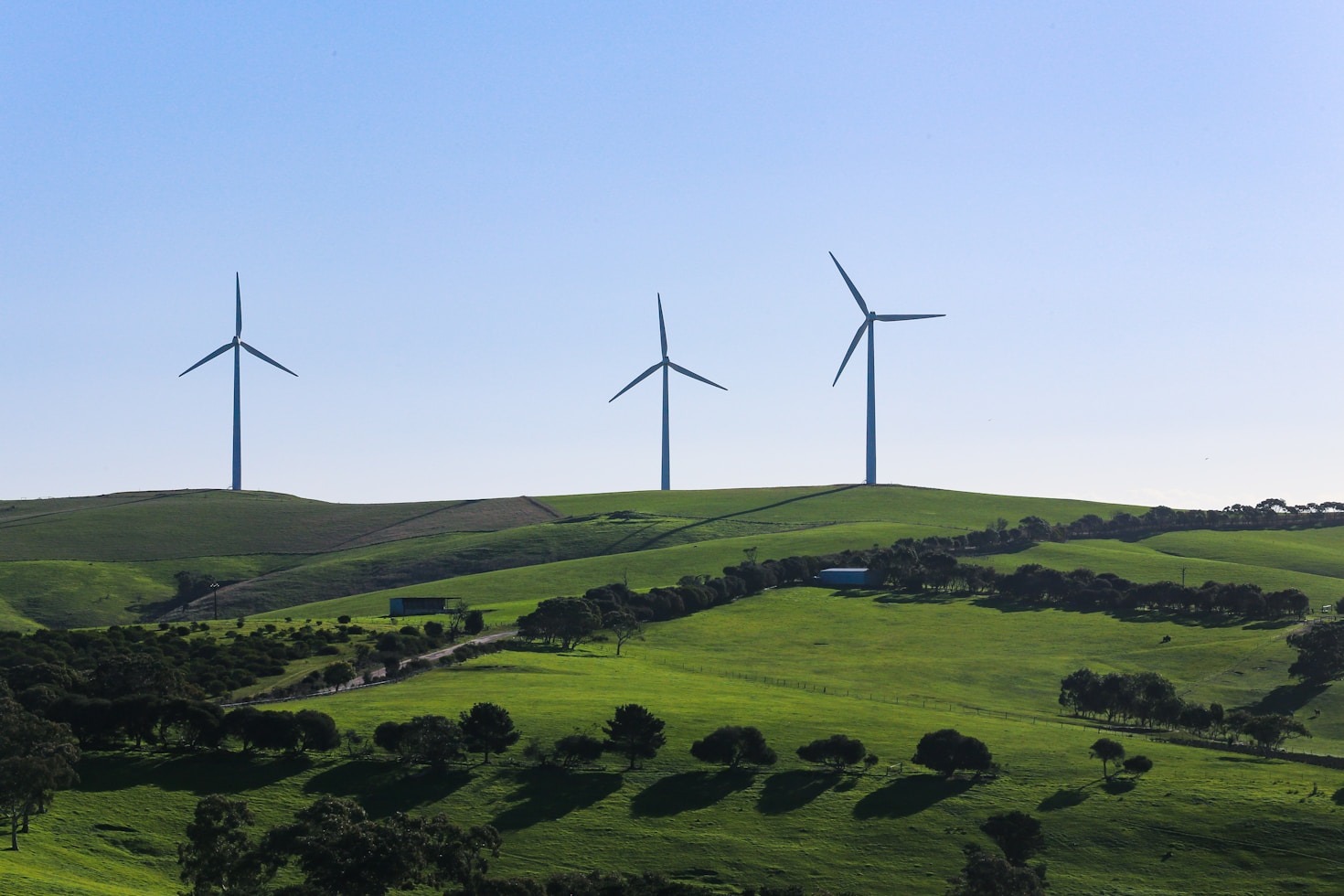 The Future of Tourism: Eco-Friendly and Sustainable
